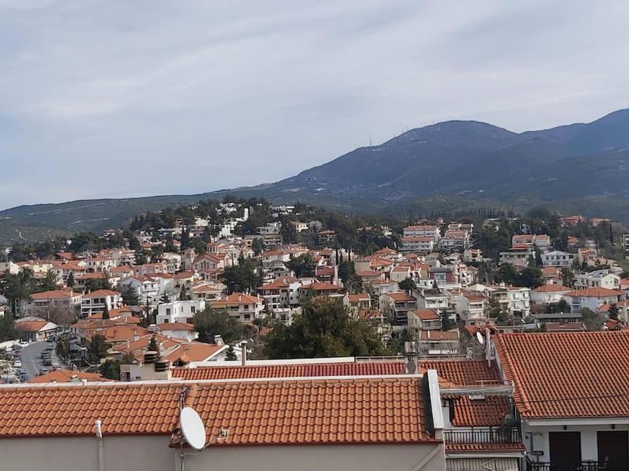 Panorama View Apartment Thessaloníki Eksteriør billede